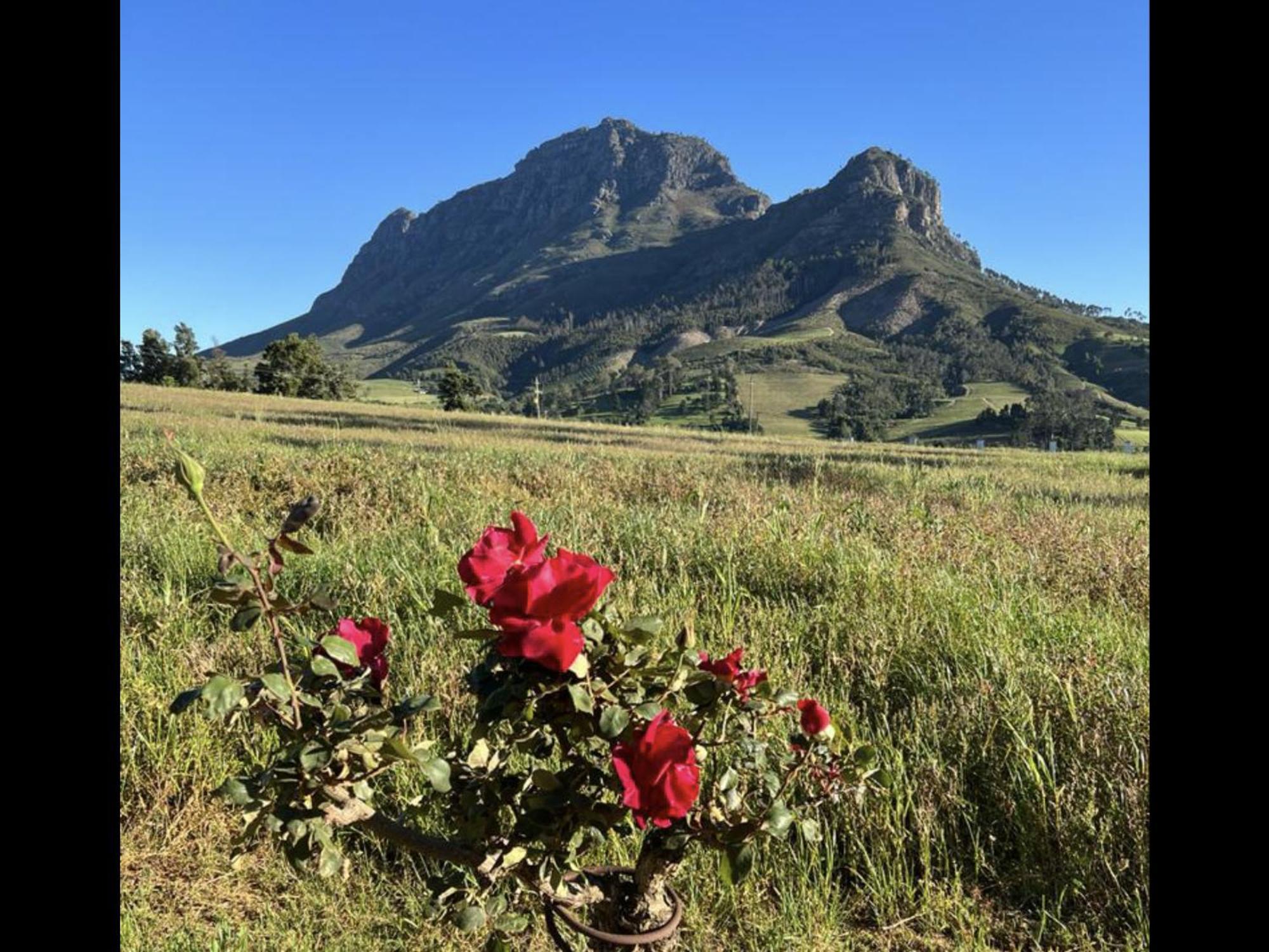 Zeven Eike Homestead Stellenbosch Exterior photo